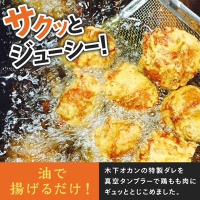空とぶからあげ(塩にんにく味)　生タイプ1.2kg