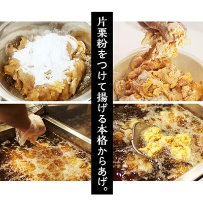 空とぶからあげ(塩にんにく味)　生タイプ1.2kg