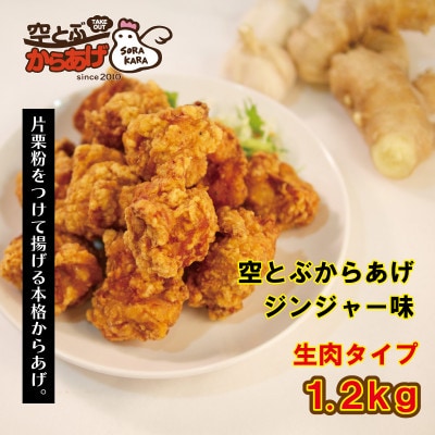 空とぶからあげ【ジンジャー味・生タイプ】 1.2kg