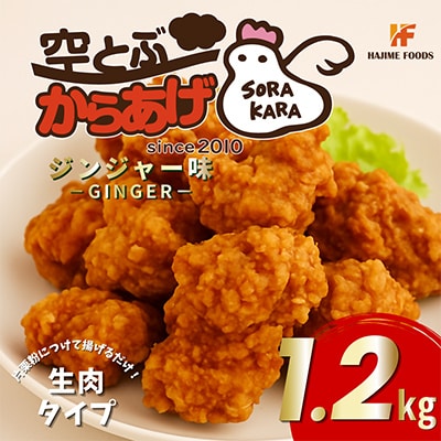空とぶからあげ【ジンジャー味・生タイプ】 1.2kg