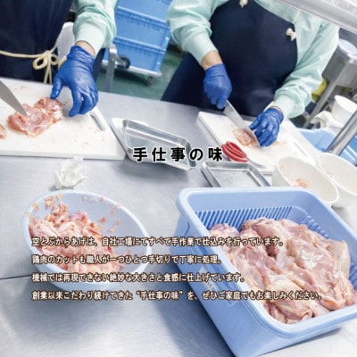 空とぶからあげ【ジンジャー味・生タイプ】 1.2kg