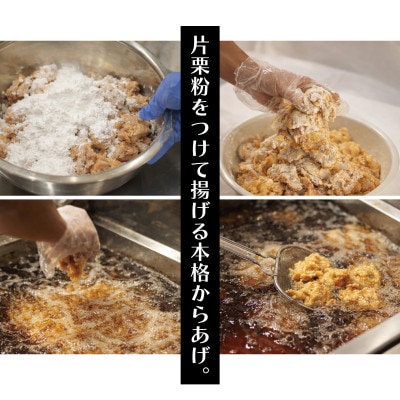 空とぶからあげ【ジンジャー味・生タイプ】 1.2kg