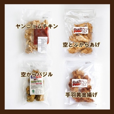 空とぶからあげ4種セット 金賞唐揚げと人気味わいセレクト