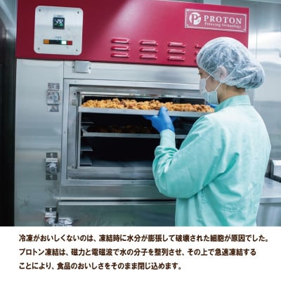 空とぶからあげ4種セット 金賞唐揚げと人気味わいセレクト