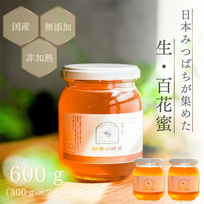 日本みつばちが集めた貴重なはちみつ(百花蜜)をお届けします。