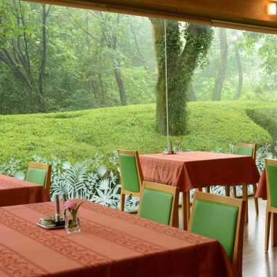 ランチご利用券 10,000円分 森の隠れ家レストラン VENT ET VERT アイアイランド