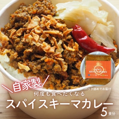 RUTA自家製スパイスキーマカレー計1kg