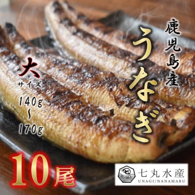 【国産うなぎ】大サイズ140g -170g　鹿児島産　10尾 炭火蒲焼き(タレ付き)
