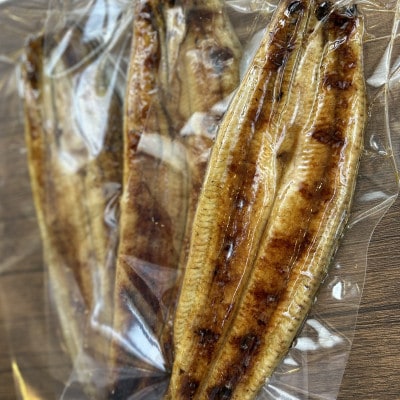【国産うなぎ】大サイズ140g -170g　鹿児島産　10尾 炭火蒲焼き(タレ付き)