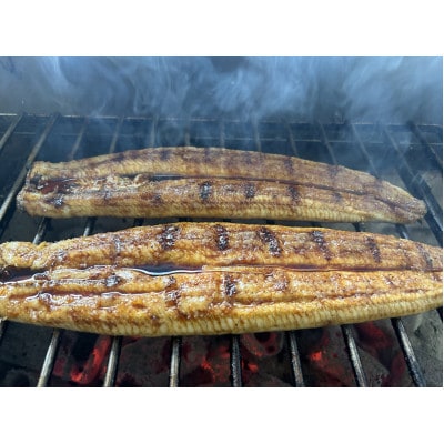 【国産うなぎ】大サイズ140g -170g　鹿児島産　6尾セット 炭火蒲焼き(タレ付)