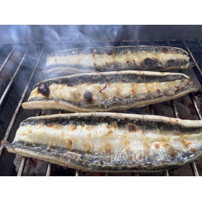 【国産うなぎ】大サイズ140g -170g　三河一色産　3尾　炭火蒲焼き(タレ付き)