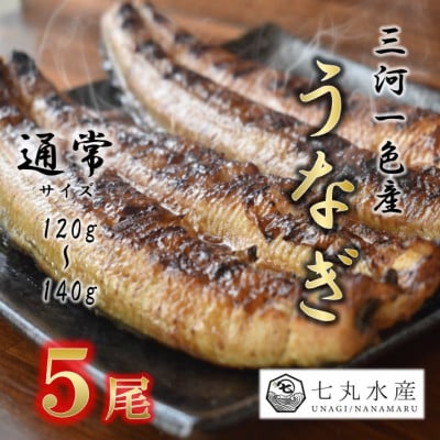 【国産うなぎ】通常サイズ120g-140g　三河一色産　5尾　炭火蒲焼き(タレ付き)