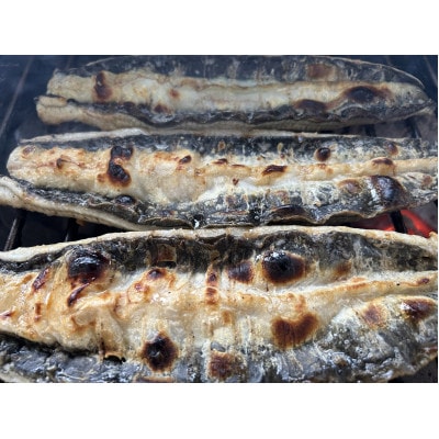 【国産うなぎ】通常サイズ120g-140g　三河一色産　5尾　炭火蒲焼き(タレ付き)