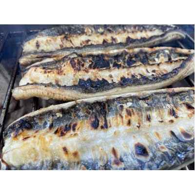 【国産うなぎ】大サイズ140g -170g　三河一色産　10尾　炭火蒲焼き(タレ付き)