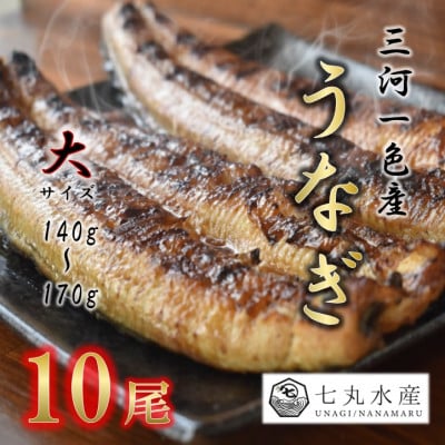 【国産うなぎ】大サイズ140g -170g　三河一色産　10尾　炭火蒲焼き(タレ付き)