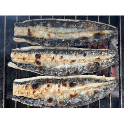 【国産うなぎ】大サイズ140g -170g　三河一色産　10尾　炭火蒲焼き(タレ付き)