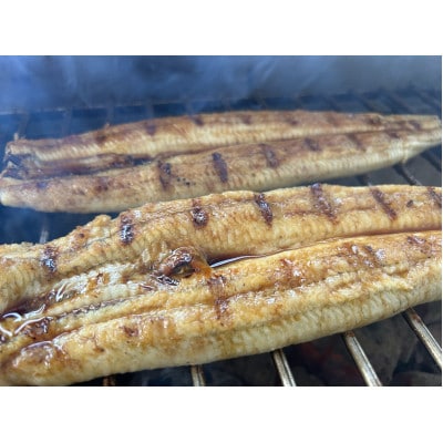 【国産うなぎ】通常サイズ120g-140g　三河一色産　6尾　炭火蒲焼き(タレ付き)