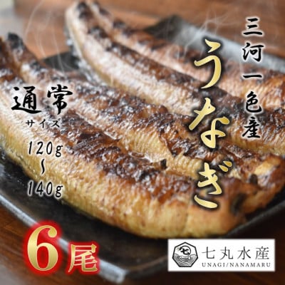 【国産うなぎ】通常サイズ120g-140g　三河一色産　6尾　炭火蒲焼き(タレ付き)