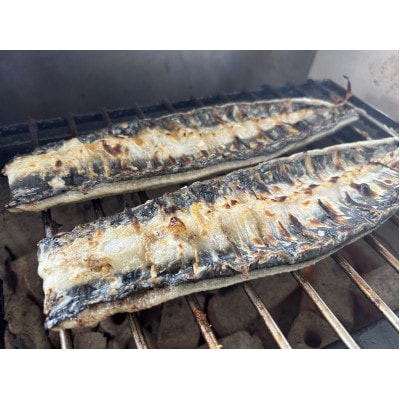 【国産うなぎ】通常サイズ120g-140g　三河一色産　6尾　炭火蒲焼き(タレ付き)
