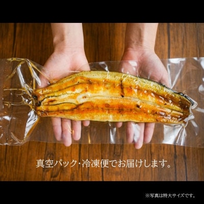 【国産うなぎ】通常サイズ120g-140g　三河一色産　6尾　炭火蒲焼き(タレ付き)