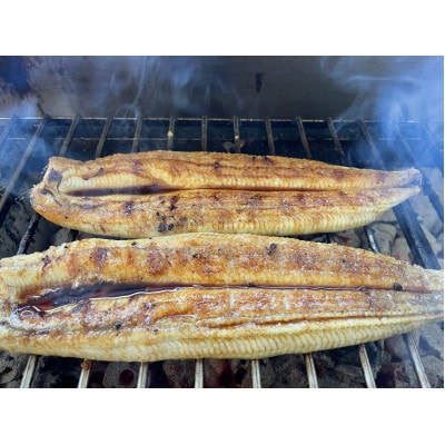 【国産うなぎ】通常サイズ120g-140g　三河一色産　4尾　炭火蒲焼き(タレ付き)