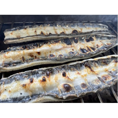 【国産うなぎ】通常サイズ120g-140g　三河一色産　4尾　炭火蒲焼き(タレ付き)