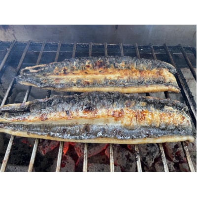 【国産うなぎ】通常サイズ120g-140g　三河一色産　10尾　炭火蒲焼き(タレ付き)