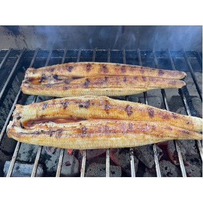 【国産うなぎ】通常サイズ120g-140g　三河一色産　10尾　炭火蒲焼き(タレ付き)