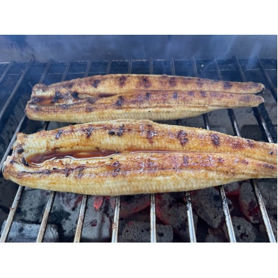 【国産うなぎ】大サイズ140g -170g　三河一色産　4尾セット　炭火蒲焼き(タレ付き)