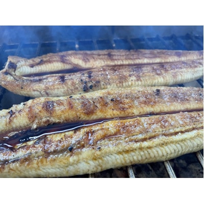 【国産うなぎ】大サイズ140g -170g　三河一色産　4尾セット　炭火蒲焼き(タレ付き)