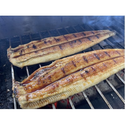 【国産うなぎ】大サイズ140g -170g　三河一色産　2尾セット　炭火蒲焼き(タレ付き)