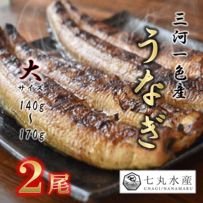 【国産うなぎ】大サイズ140g -170g　三河一色産　2尾セット　炭火蒲焼き(タレ付き)