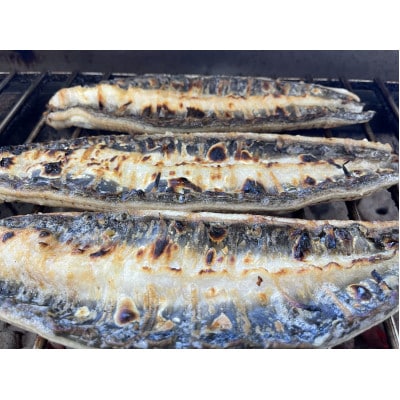 【国産うなぎ】大サイズ140g -170g　三河一色産　6尾セット　炭火蒲焼き(タレ付き)
