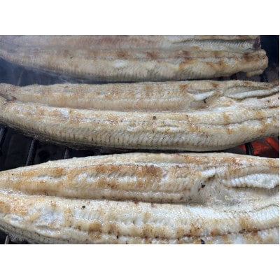 【国産うなぎ】特大サイズ180g-220g　三河一色産　6尾　炭火蒲焼き(タレ付き)