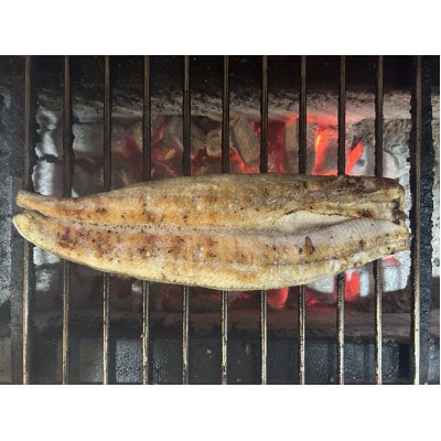 【国産うなぎ】特大サイズ180g-220g　三河一色産　6尾　炭火蒲焼き(タレ付き)