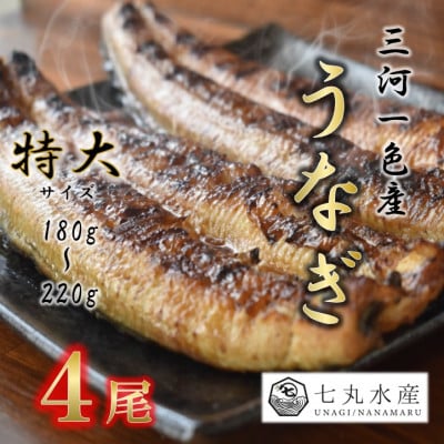 【国産うなぎ】特大サイズ180g-220g　三河一色産　4尾　炭火蒲焼き(タレ付き)