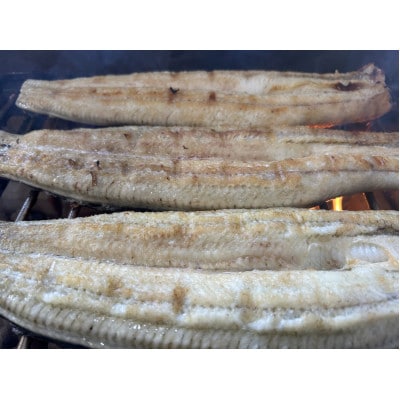 【国産うなぎ】特大サイズ180g-220g　三河一色産　4尾　炭火蒲焼き(タレ付き)