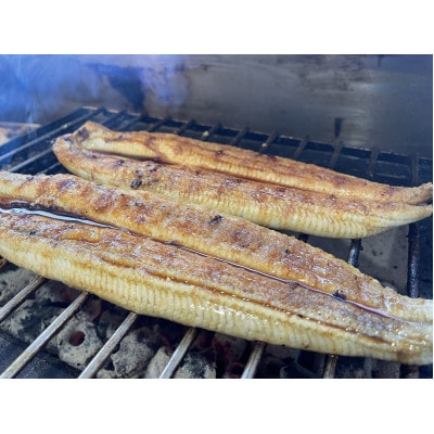 【国産うなぎ】特大サイズ180g-220g　三河一色産　2尾　炭火蒲焼き(タレ付き)