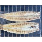 【国産うなぎ】大サイズ140g -170g　三河一色産　2尾セット　炭火白焼き