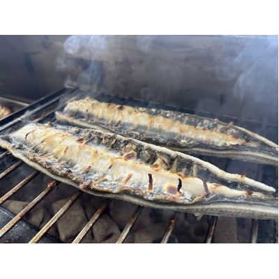 【国産うなぎ】大サイズ140g -170g　三河一色産　2尾セット　炭火白焼き