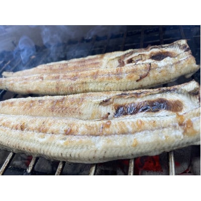 【国産うなぎ】特大サイズ180g-220g　三河一色産　2尾　炭火白焼き
