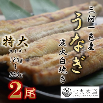 【国産うなぎ】特大サイズ180g-220g　三河一色産　2尾　炭火白焼き