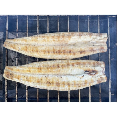 【国産うなぎ】特大サイズ180g-220g　三河一色産　2尾　炭火白焼き