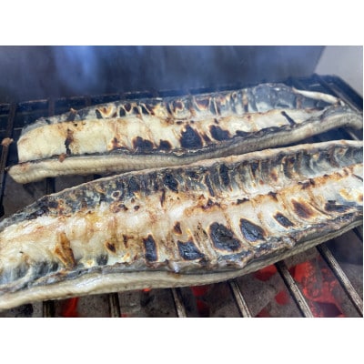 【国産うなぎ】特大サイズ180g-220g　三河一色産　2尾　炭火白焼き