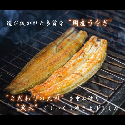 【国産うなぎ】きざみうなぎ　蒲焼　60g×4袋　三河一色産