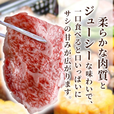 信州高原和牛　焼肉　国産黒毛和牛　400g