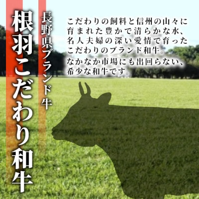 根羽こだわり和牛　サイコロステーキ(800g)