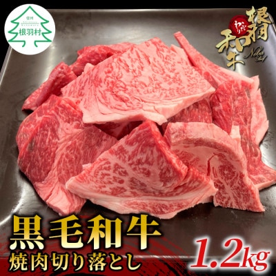 根羽こだわり和牛 焼肉切り落とし 1.2kg (600g×2パック)