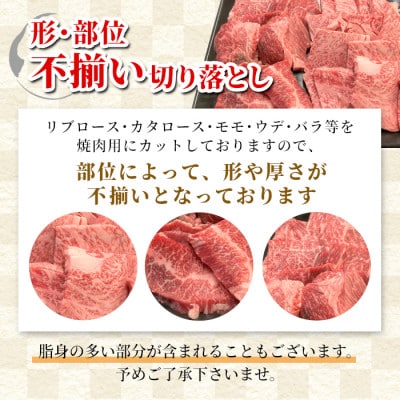 根羽こだわり和牛 焼肉切り落とし 1.2kg (600g×2パック)
