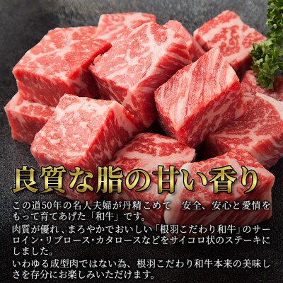 根羽こだわり和牛 サイコロステーキ 1.2kg